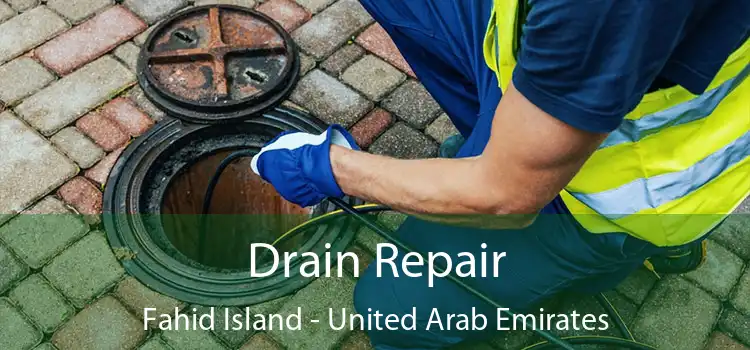 Drain Repair Fahid Island - United Arab Emirates