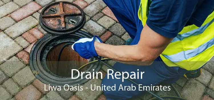 Drain Repair Liwa Oasis - United Arab Emirates