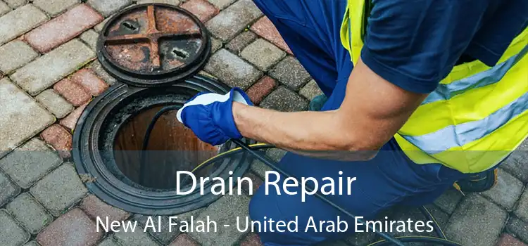 Drain Repair New Al Falah - United Arab Emirates