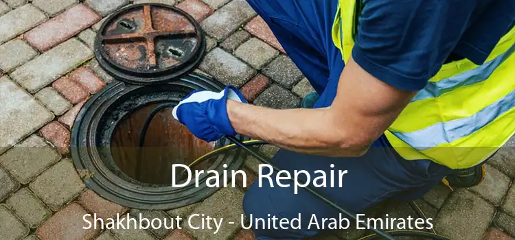 Drain Repair Shakhbout City - United Arab Emirates