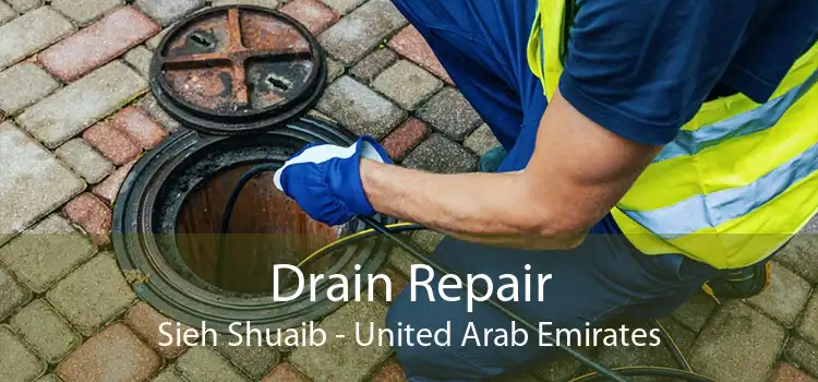 Drain Repair Sieh Shuaib - United Arab Emirates