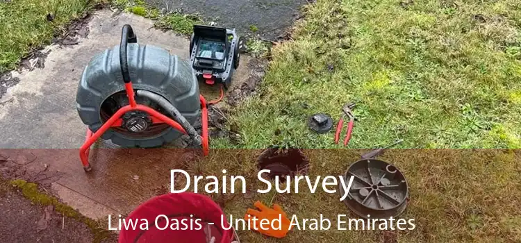 Drain Survey Liwa Oasis - United Arab Emirates