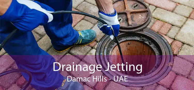 Drainage Jetting Damac Hills - UAE
