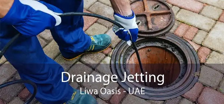 Drainage Jetting Liwa Oasis - UAE