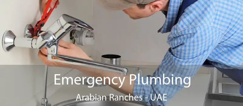  Emergency Plumbing Arabian Ranches - UAE