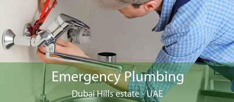 Emergency Plumbing Dubai Hills estate - UAE