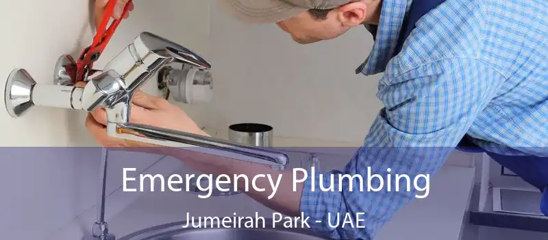  Emergency Plumbing Jumeirah Park - UAE