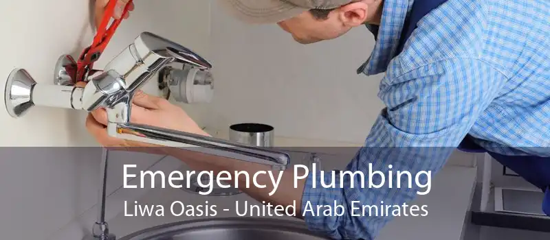 Emergency Plumbing Liwa Oasis - United Arab Emirates