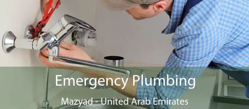 Emergency Plumbing Mazyad - United Arab Emirates