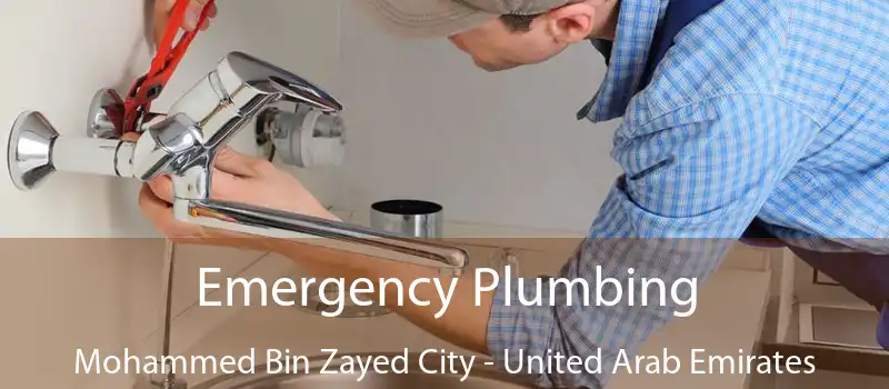 Emergency Plumbing Mohammed Bin Zayed City - United Arab Emirates