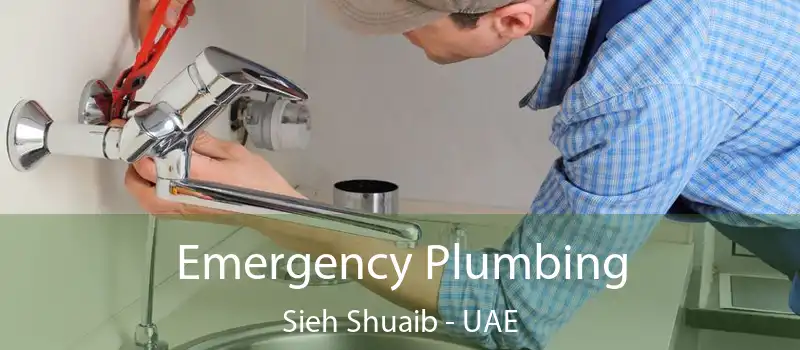  Emergency Plumbing Sieh Shuaib - UAE