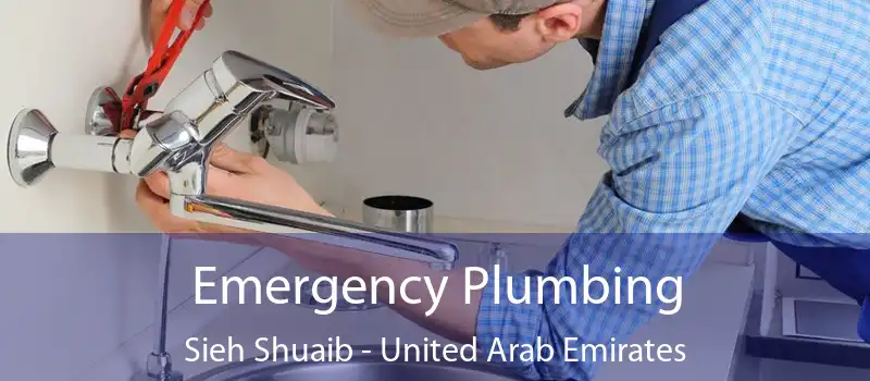 Emergency Plumbing Sieh Shuaib - United Arab Emirates