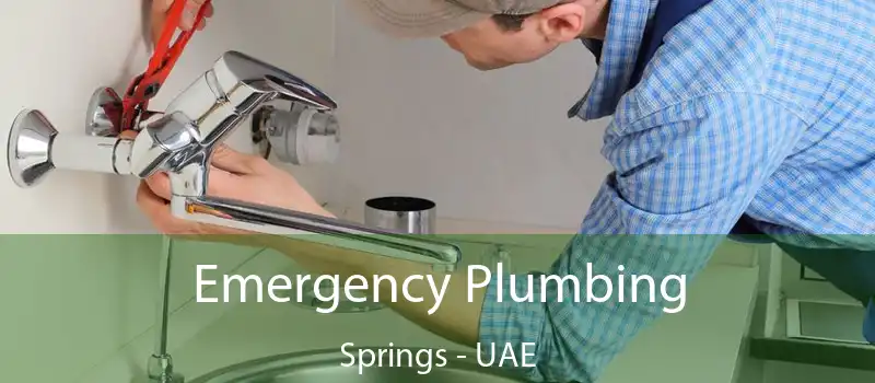  Emergency Plumbing Springs - UAE