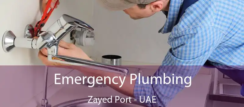 Emergency Plumbing Zayed Port - UAE