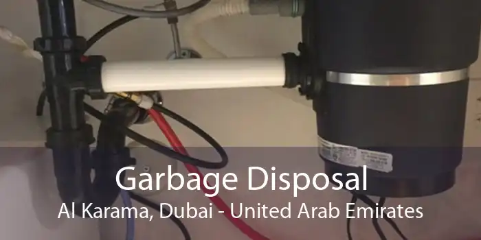 Garbage Disposal Al Karama, Dubai - United Arab Emirates