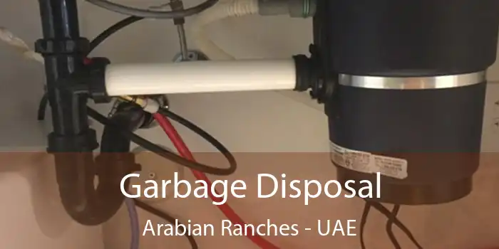  Garbage Disposal Arabian Ranches - UAE