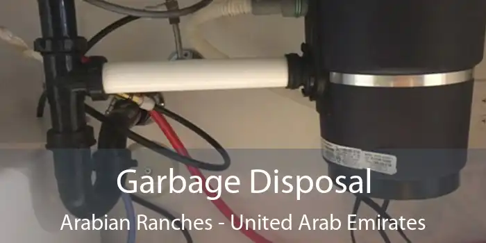 Garbage Disposal Arabian Ranches - United Arab Emirates