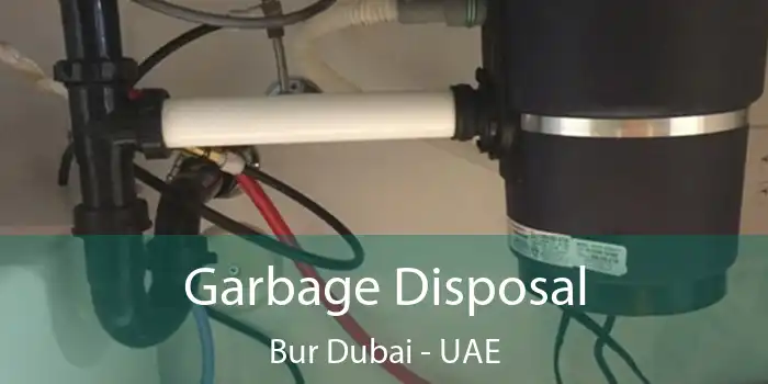  Garbage Disposal Bur Dubai - UAE