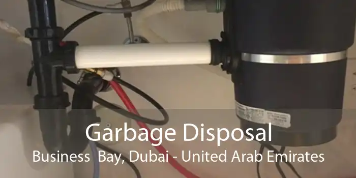 Garbage Disposal Business  Bay, Dubai - United Arab Emirates