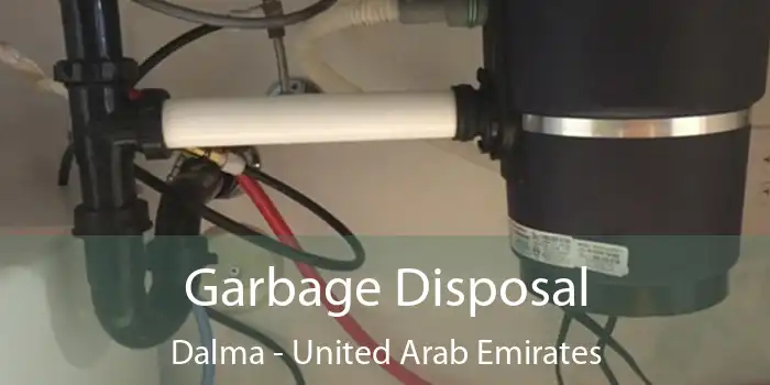 Garbage Disposal Dalma - United Arab Emirates