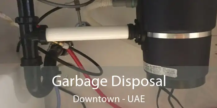  Garbage Disposal Downtown - UAE