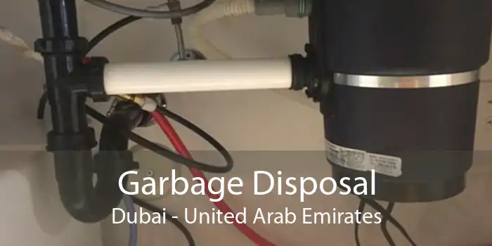 Garbage Disposal Dubai - United Arab Emirates