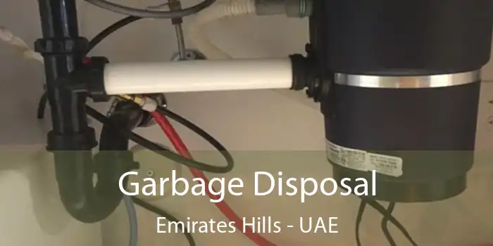 Garbage Disposal Emirates Hills - UAE