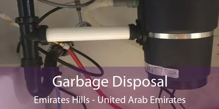 Garbage Disposal Emirates Hills - United Arab Emirates