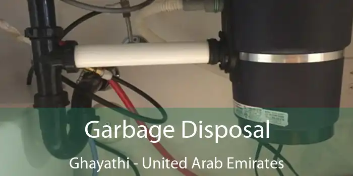 Garbage Disposal Ghayathi - United Arab Emirates