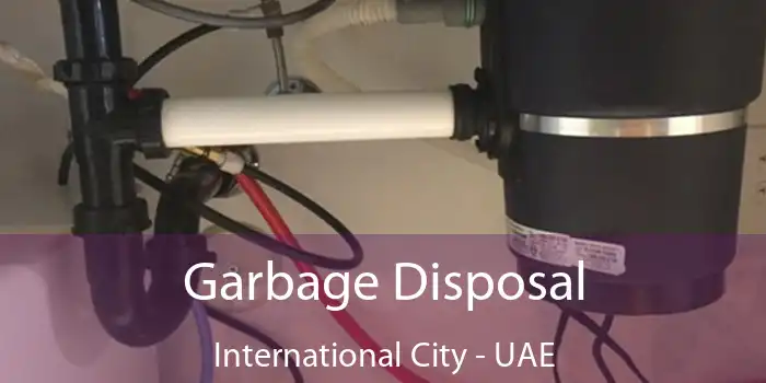  Garbage Disposal International City - UAE