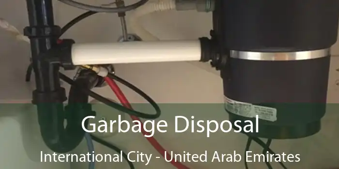 Garbage Disposal International City - United Arab Emirates