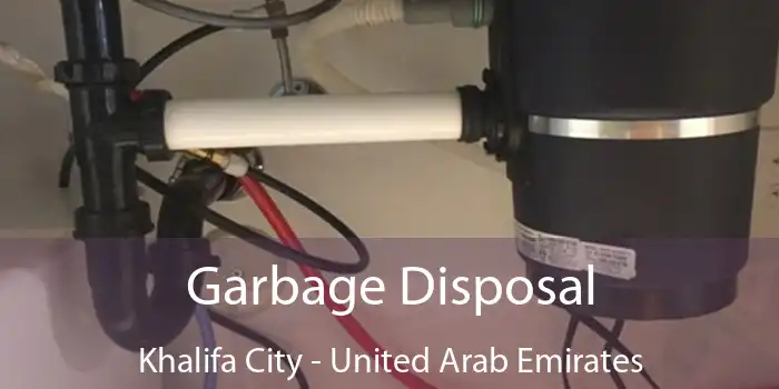 Garbage Disposal Khalifa City - United Arab Emirates