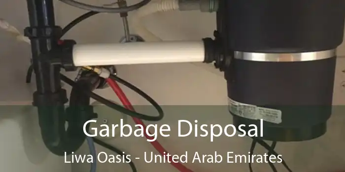 Garbage Disposal Liwa Oasis - United Arab Emirates