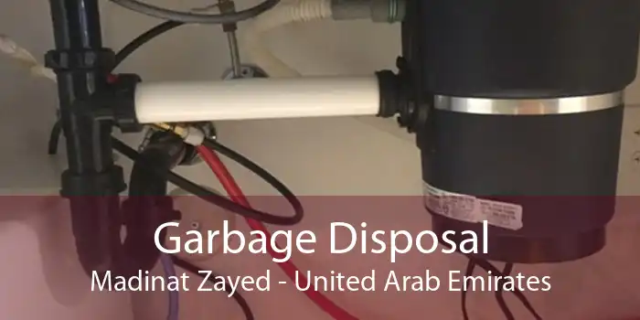 Garbage Disposal Madinat Zayed - United Arab Emirates