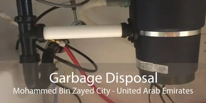 Garbage Disposal Mohammed Bin Zayed City - United Arab Emirates
