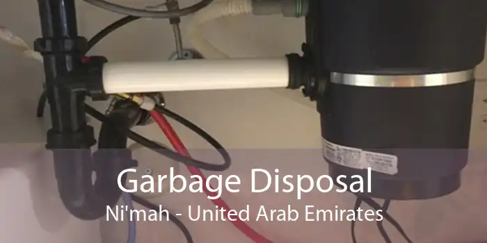 Garbage Disposal Ni'mah - United Arab Emirates