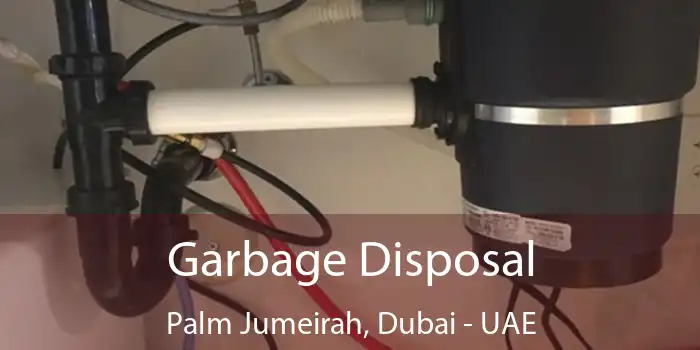  Garbage Disposal Palm Jumeirah, Dubai - UAE
