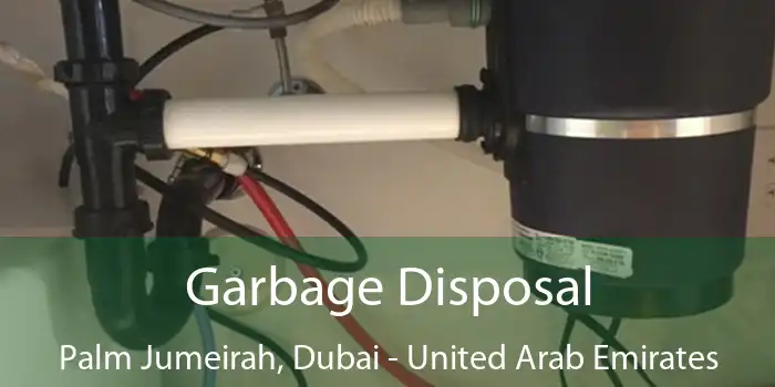 Garbage Disposal Palm Jumeirah, Dubai - United Arab Emirates