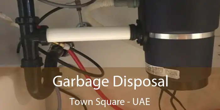  Garbage Disposal Town Square - UAE