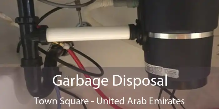 Garbage Disposal Town Square - United Arab Emirates