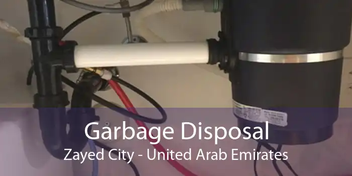 Garbage Disposal Zayed City - United Arab Emirates