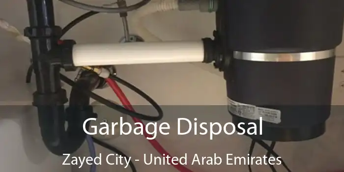 Garbage Disposal Zayed City - United Arab Emirates