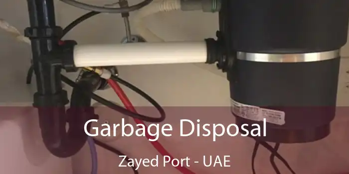  Garbage Disposal Zayed Port - UAE
