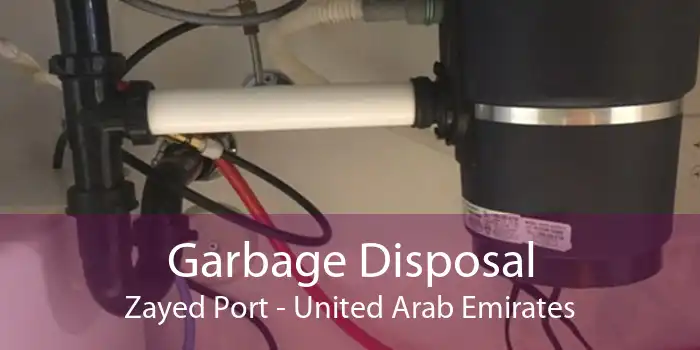 Garbage Disposal Zayed Port - United Arab Emirates