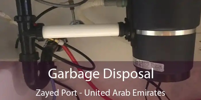 Garbage Disposal Zayed Port - United Arab Emirates