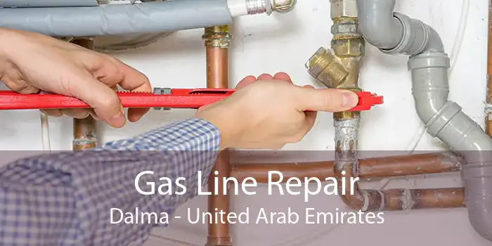 Gas Line Repair Dalma - United Arab Emirates