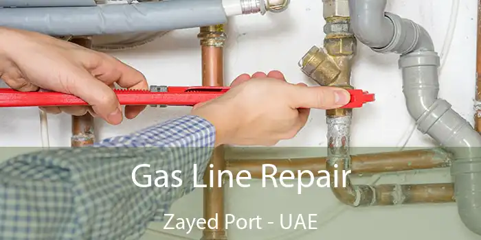  Gas Line Repair Zayed Port - UAE