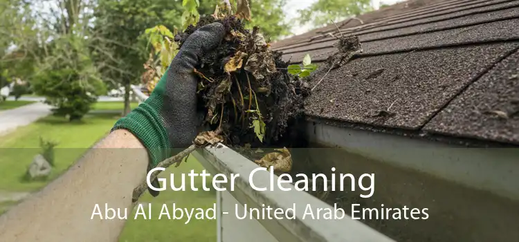 Gutter Cleaning Abu Al Abyad - United Arab Emirates