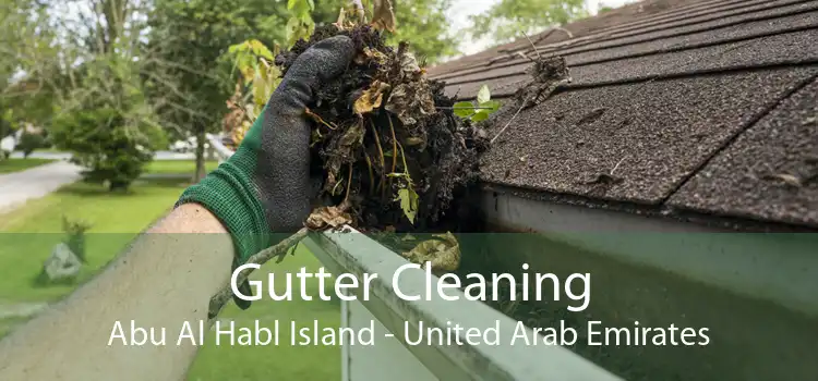 Gutter Cleaning Abu Al Habl Island - United Arab Emirates