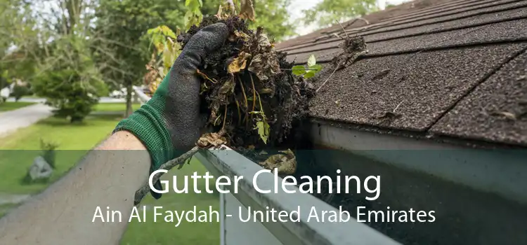 Gutter Cleaning Ain Al Faydah - United Arab Emirates